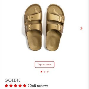 Freedom Moses Gold slides